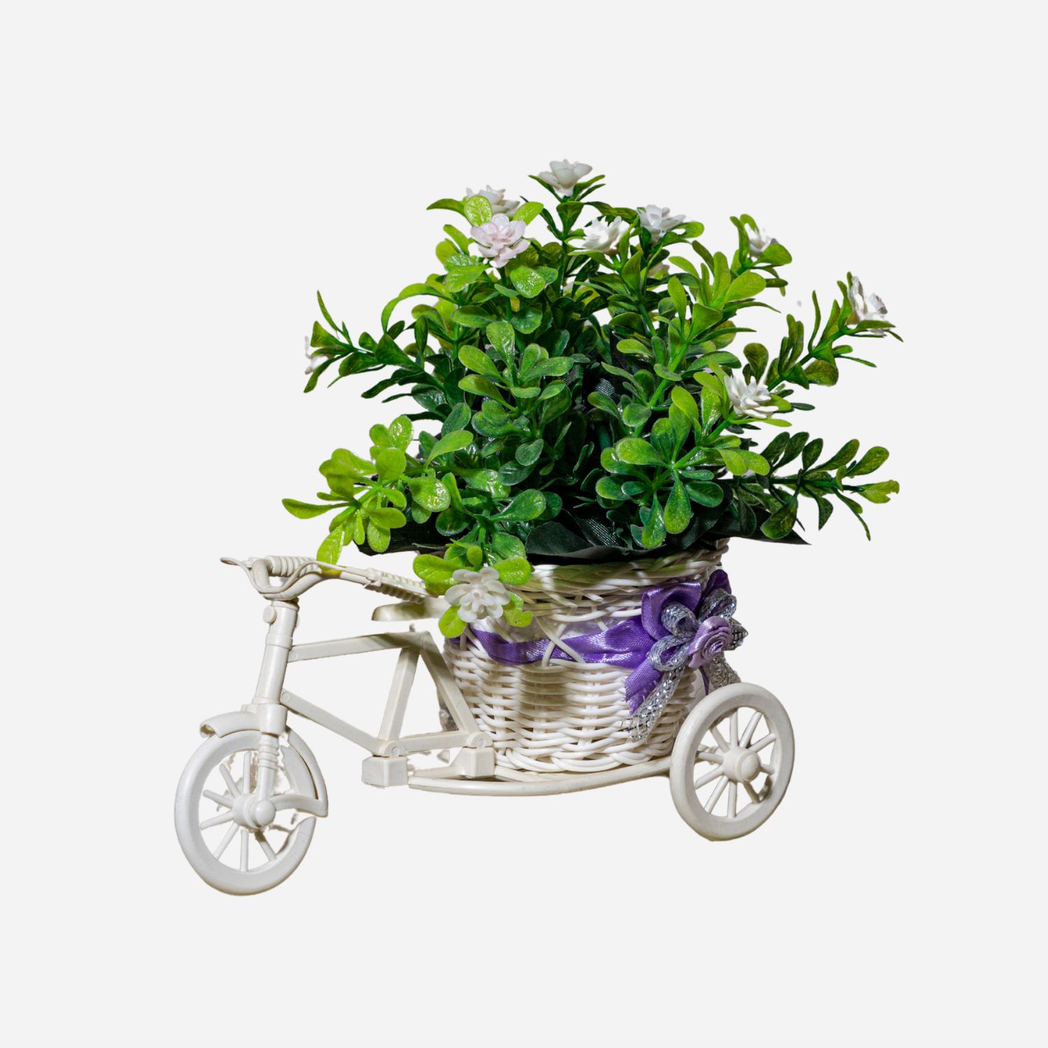 Cycle Basket Bonzai