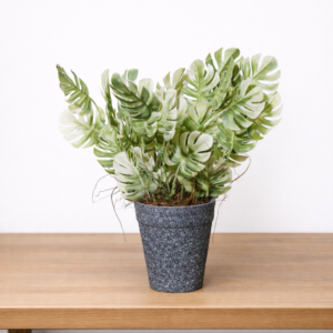 Artificial Monstera Bonsai in Pot