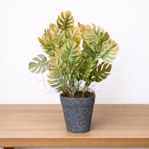 Artificial Monstera Bonsai in Pot