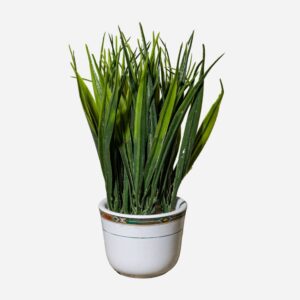 Spider Ceramic Pot
