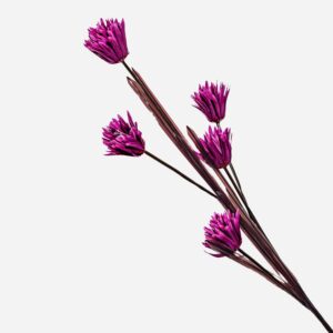 Butterfly Decorative Stem