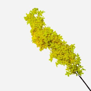 Autumn Star Decorative Stem