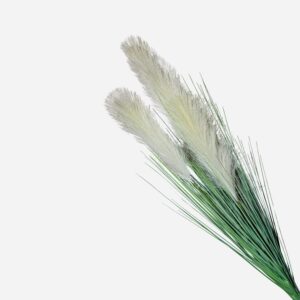 Feather Grass Bunch