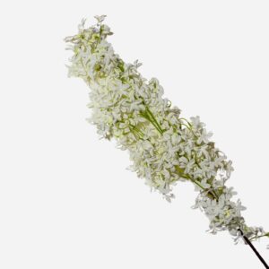 Autumn Star Decorative Stem