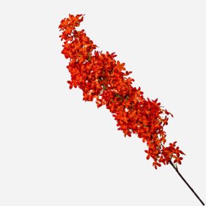 Autumn Star Decorative Stem