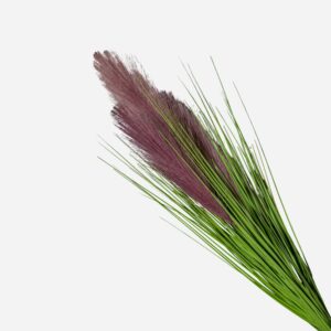 Feather Grass Bunch