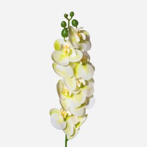 Artificial Orchid Stem