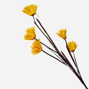Butterfly Decorative Stem