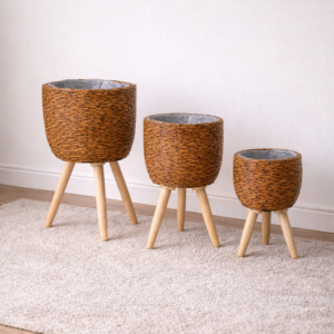 Small Cane Planter Set